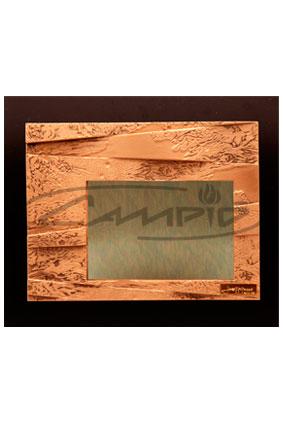 PLACAS HOMENAJE W0040G265