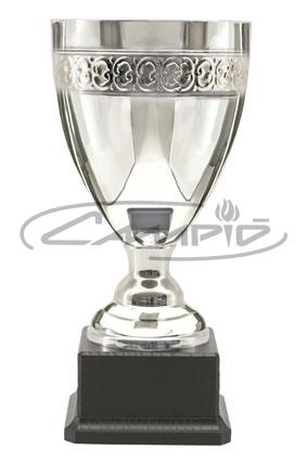 TROFEOS DEPORTIVOS W1710ST319