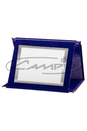 PLACAS HOMENAJE W1710ST600