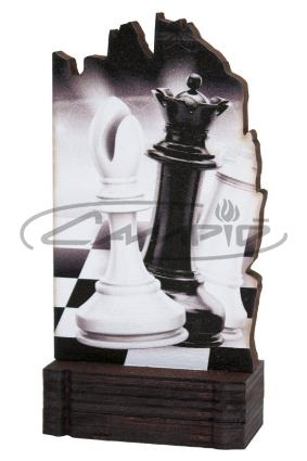 TROFEOS DEPORTIVOS W1123FT579