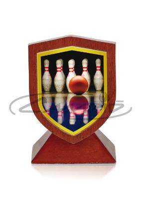 TROFEOS DEPORTIVOS W1123FT627