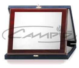 PLACAS HOMENAJE W1123FS386