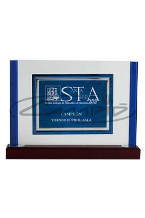 PLACAS HOMENAJE W0013PL137