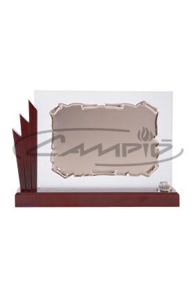 PLACAS HOMENAJE W0013PL148