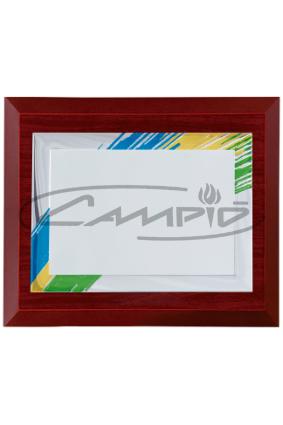 PLACAS HOMENAJE W0013PL114