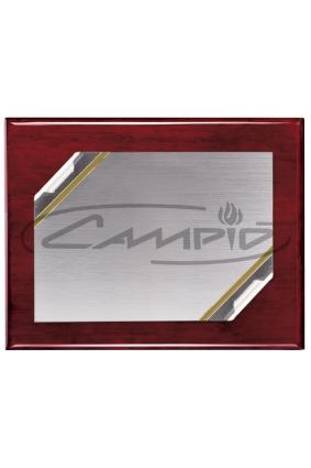 PLACAS HOMENAJE W0014PL121