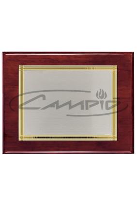 PLACAS HOMENAJE W0014PL117