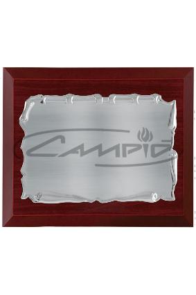 PLACAS HOMENAJE W0014PL122