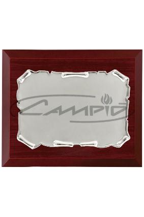 PLACAS HOMENAJE W0014PL127