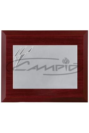 PLACAS HOMENAJE W0014PL145