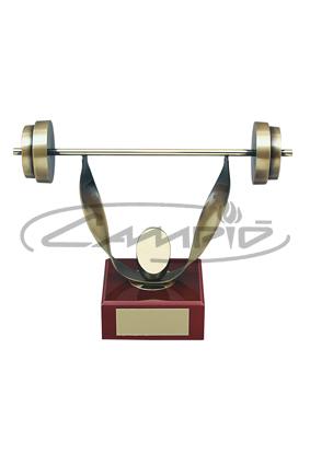 TROFEOS DEPORTIVOS W1161031