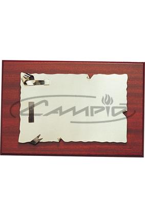 PLACAS HOMENAJE W116P100