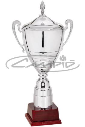 COPAS DEPORTIVAS W1126FC251