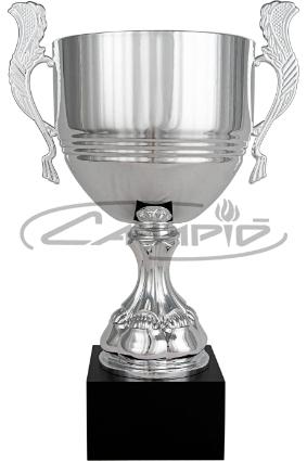 COPAS DEPORTIVAS W0016C309