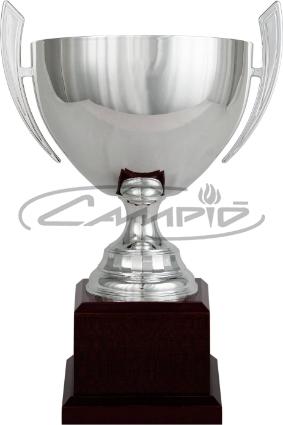 COPAS DEPORTIVAS W0016C311