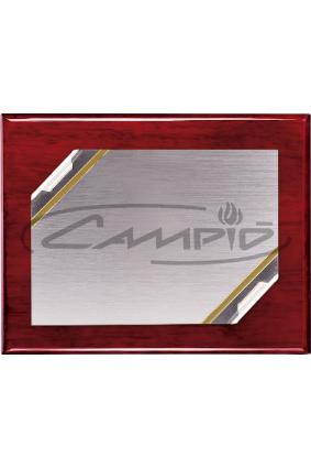 PLACAS HOMENAJE W0016PL110