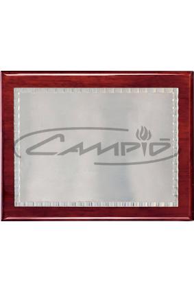 PLACAS HOMENAJE W0016PL111