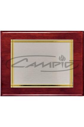 PLACAS HOMENAJE W0016PL112
