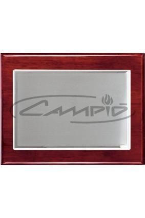 PLACAS HOMENAJE W0016PL113