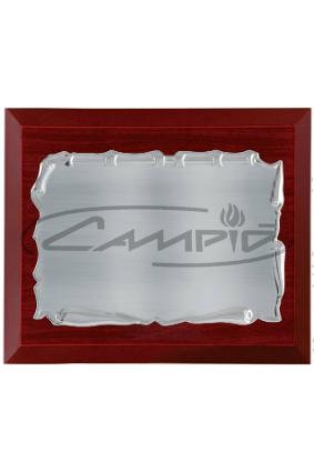 PLACAS HOMENAJE W0016PL115