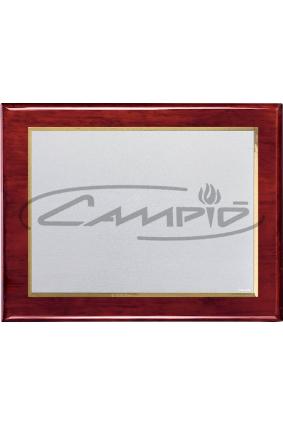 PLACAS HOMENAJE W0016PL117