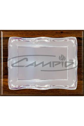 PLACAS HOMENAJE W0016PL118