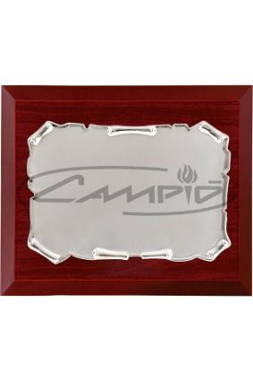 PLACAS HOMENAJE W0016PL119