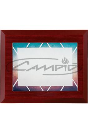 PLACAS HOMENAJE W0016PL122
