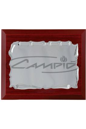 PLACAS HOMENAJE W0016PL123
