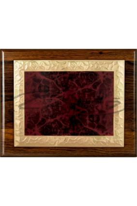 PLACAS HOMENAJE W0016PL160