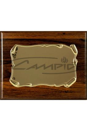 PLACAS HOMENAJE W0016PL137