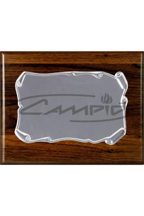 PLACAS HOMENAJE W0016PL138