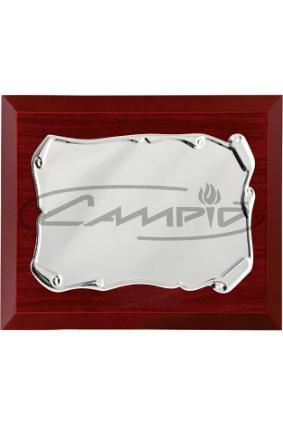 PLACAS HOMENAJE W0016PL139